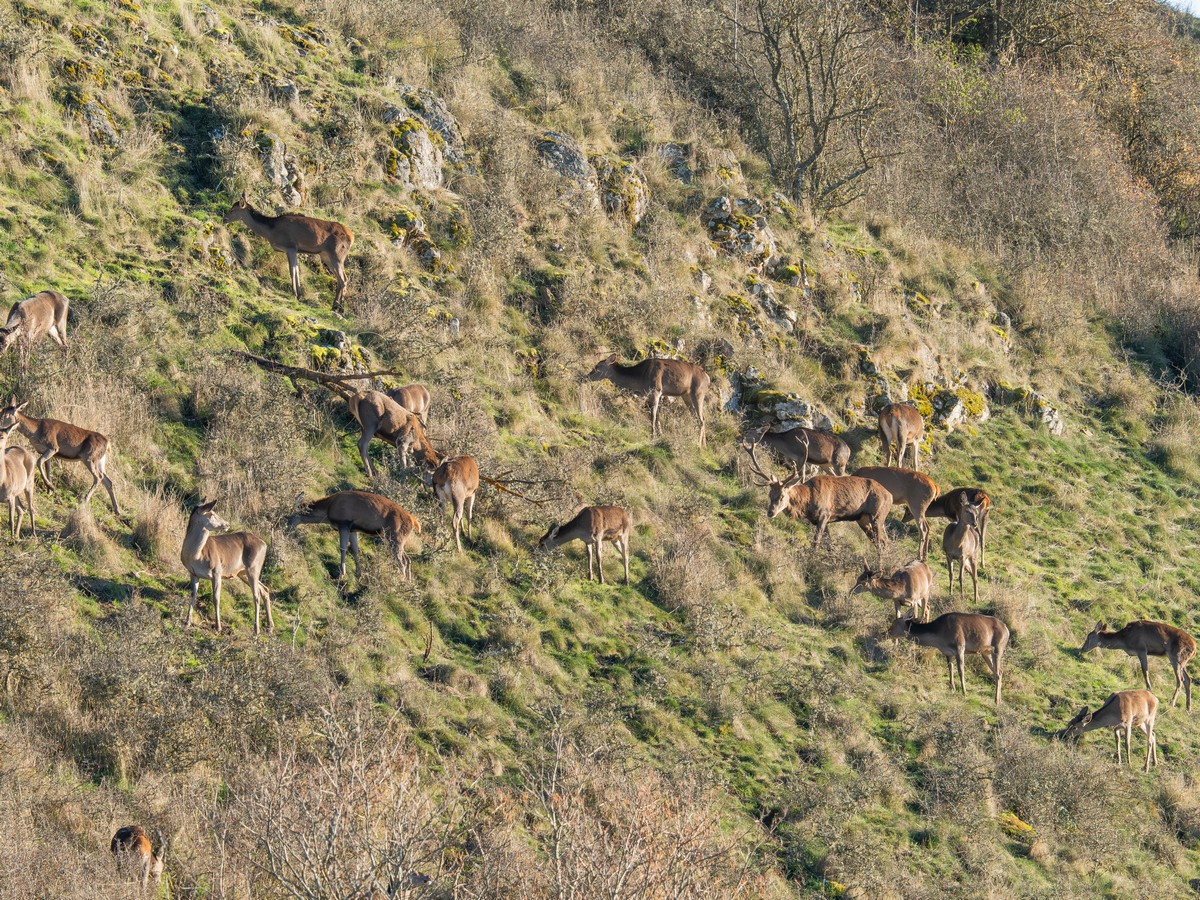 18112025-18 11 25 (10).jpg